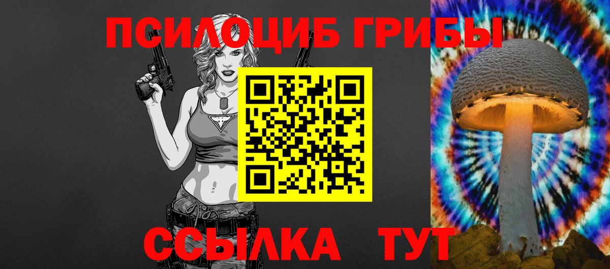 Нововоронеж  Галлюциногенные грибы прущие грибы  Вход с VPN  Галлюциногенные грибы Magic Shrooms 
